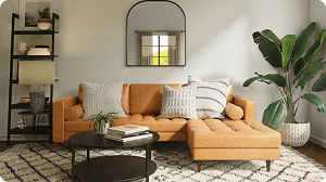 Furnished a Living Room